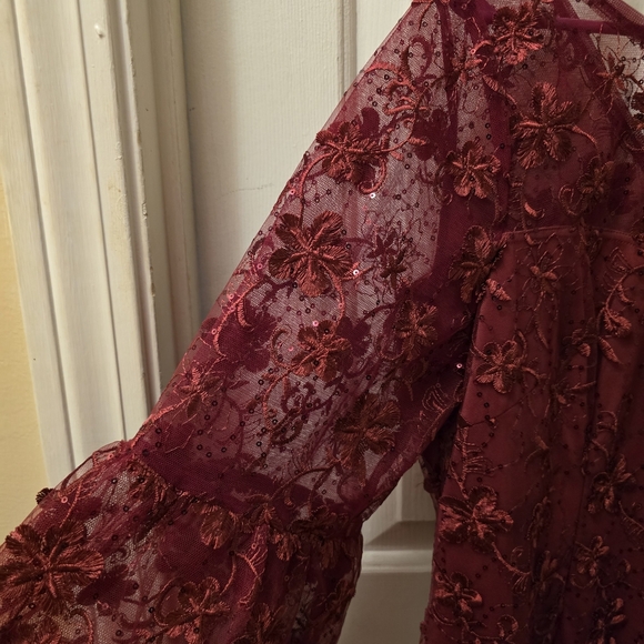 Adrianna Papell Deep Red Floral Lace Dress Size 16 Wedding Guest - Picture 5 of 8